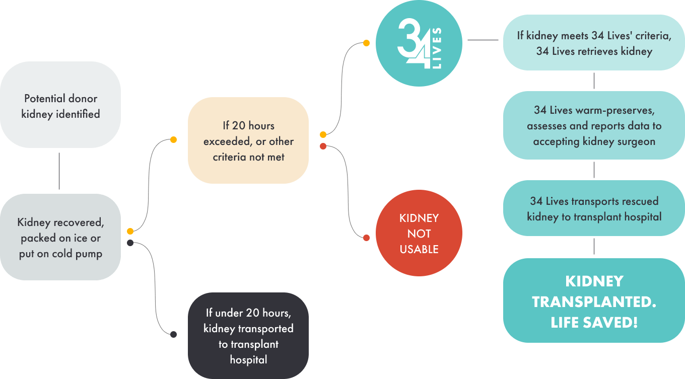 34 lives infographic